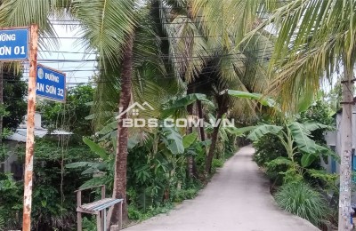 Bán Lô Đất Đẹp Mặt Tiền Đường An Sơn 32 – Gần Quanh Đai 3 – Chỉ 9,2 Triệu/M²